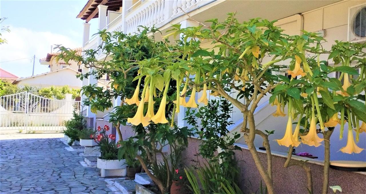 Eleni Apartments Sant George Beach Agios Georgios  Exterior photo